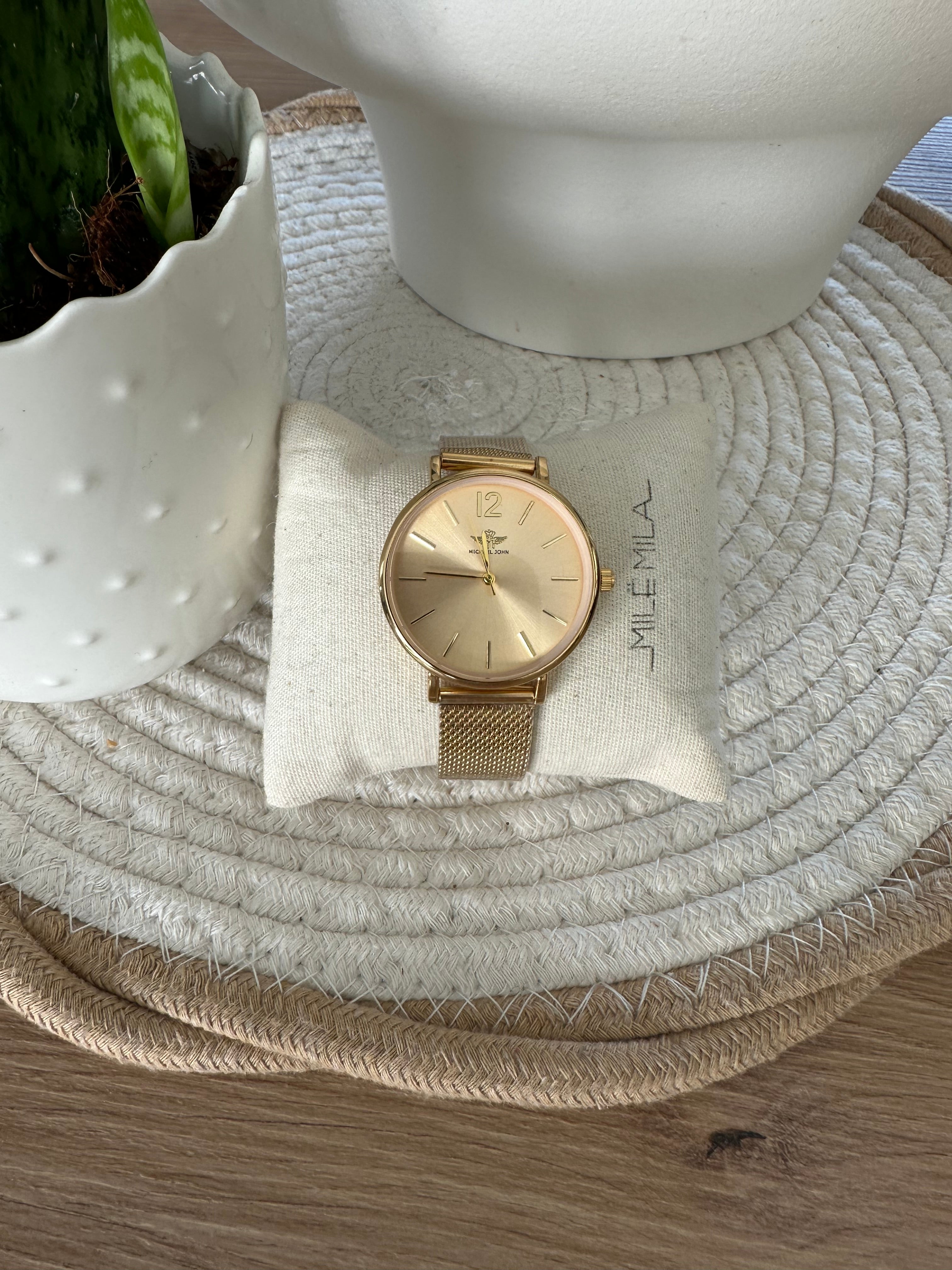 Montre en acier