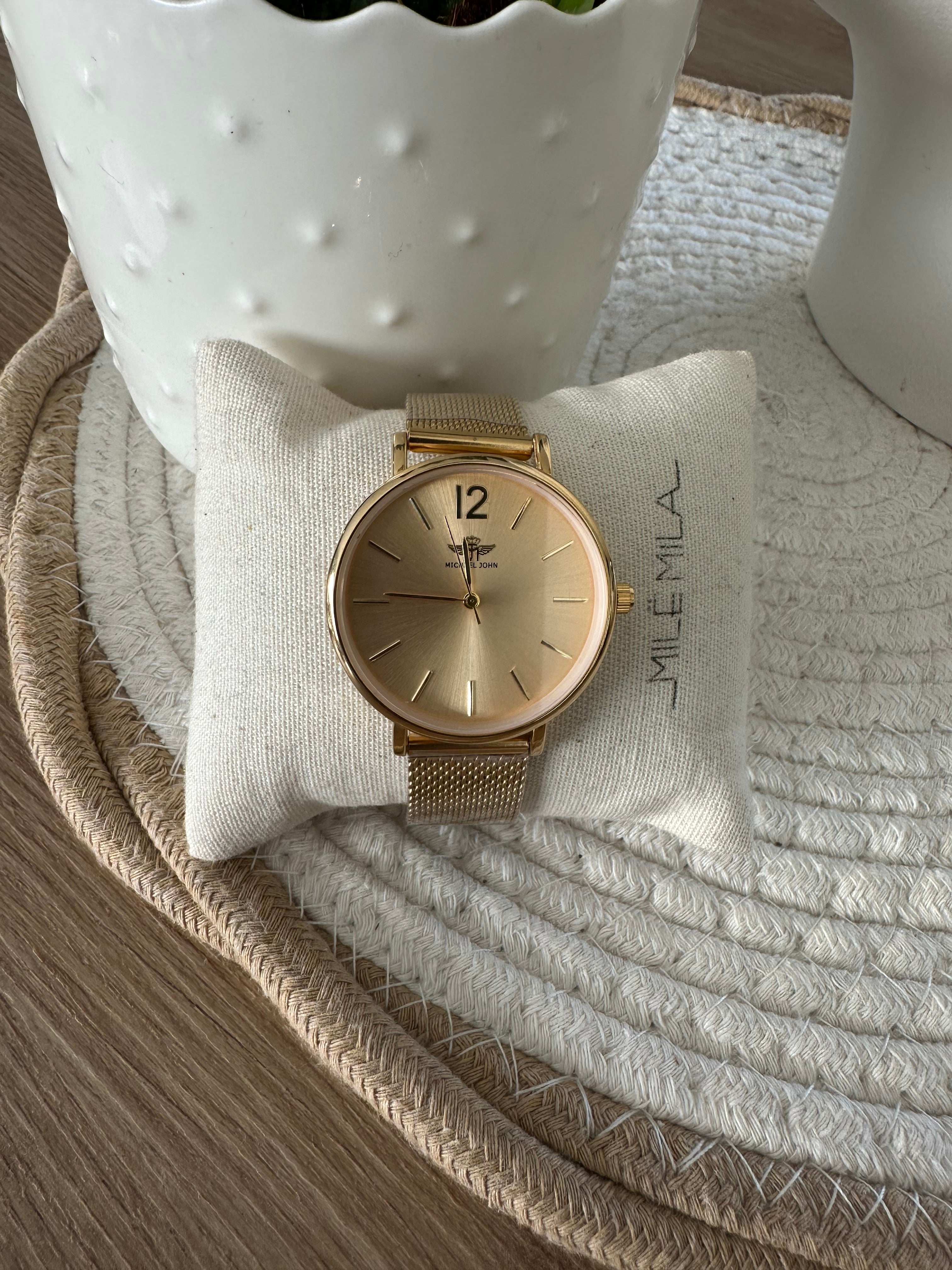 Montre en acier